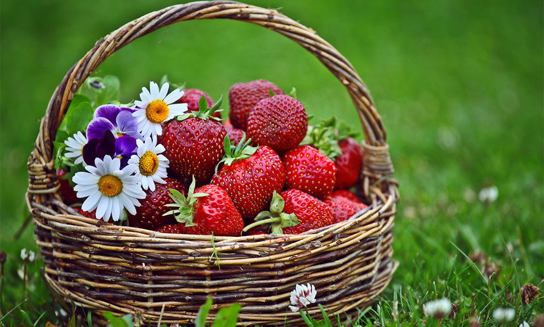 湖州点呀点水果电商APP开发案例